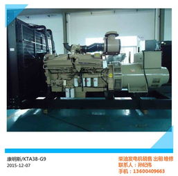 康明斯供應(yīng)商 多圖 毛淡錦康明斯 cummins發(fā)電機產(chǎn)品